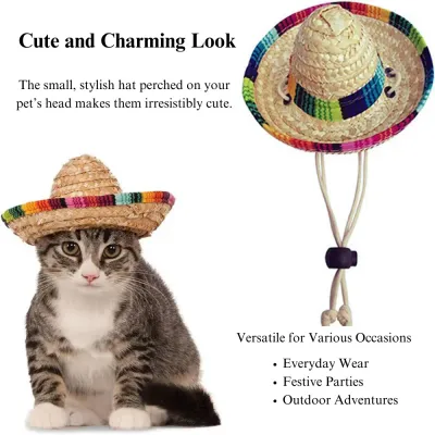 场景 Mexican Pet Hat - Fun Small Size for Pets
