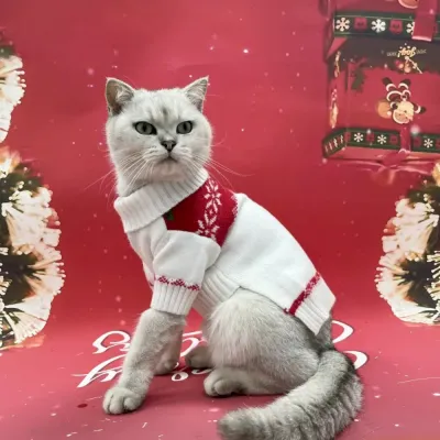 cat sweater perium cat sweater