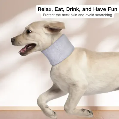 Breathable Dog Neck Brace Breathable Dog Neck Brace