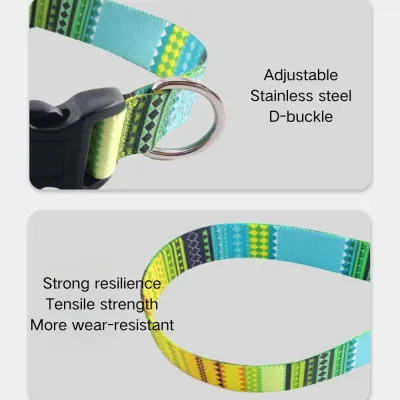 dogs collar and leash