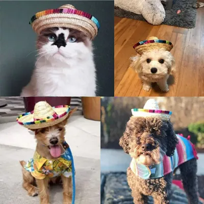 Festive Mexican Pet Hat for Halloween and Birthday Parties - Perfect for Kids and Pets Festive Mexican Pet Hat for Halloween and Birthday Parties