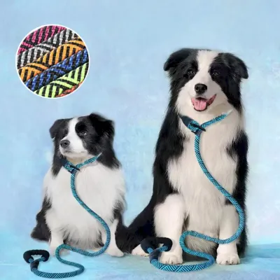 Dog leash for small dogs wholesale