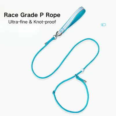 Pet Slip Lead Dog Leash