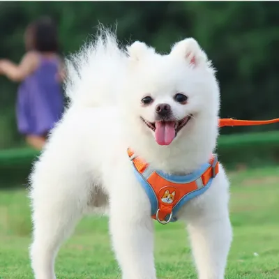 Wholesale Dog Harness Leash Set Wholesale Dog Harness Leash Set