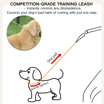 anti pull leash dogs (2) PVC-Coated Steel Wire Leash for Ultimate Durability: Designed with a PVC-coated steel wire for superior strength and durability, this leash can handle even the most powerful dogs.