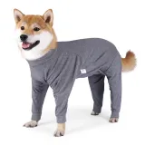 dog surgery recovery suit (1) Multi-Purpose Comfort for Pets: This onesie is perfect for a variety of situations, including sleep, surgery recovery, weaning, and even protecting pets from skin conditions, offering unmatched comfort and protection.