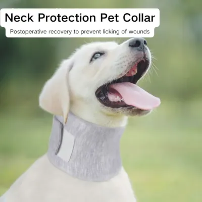 Dog Neck Brace wholesale Dog Neck Brace wholesale