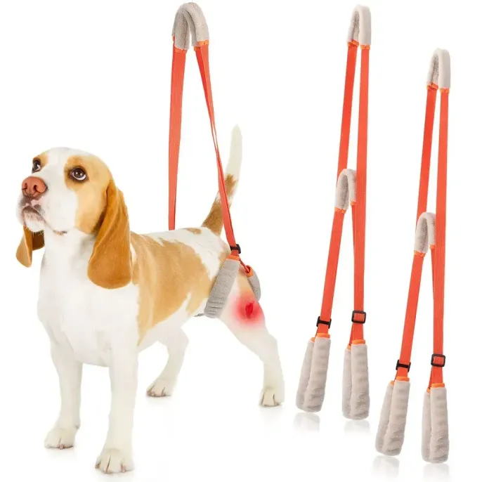 Hot Support Dog Harness