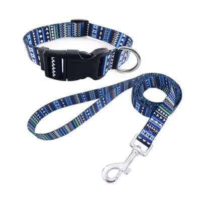 Dog Leash Collar Set