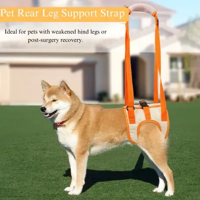 disabled dog harness