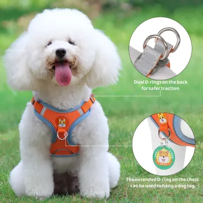 Quality Great New Harness Leash Set Quality Great New Harness Leash Set