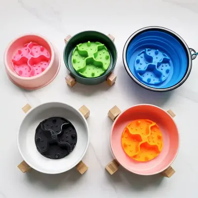 Dog Slow Feeder Bowl
