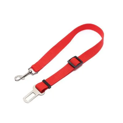 Dog Car Dog Leash Dog Car Dog Leash