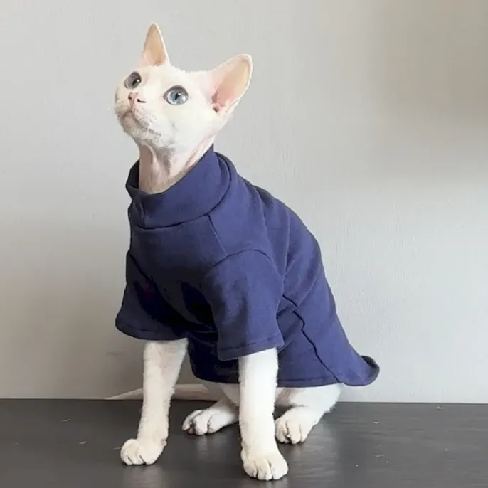 Wholesale fall and winter cat sweater