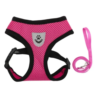Perfect for Outdoor Adventures: From neighborhood walks to outdoor hikes, this harness and leash set is the perfect choice for active pets who enjoy outdoor exploration.