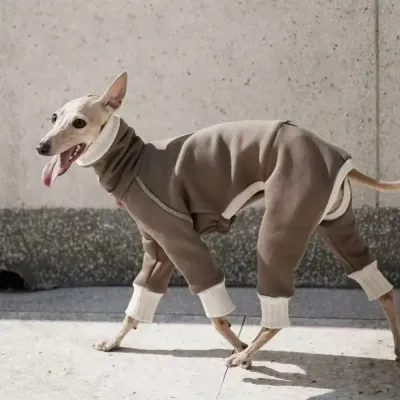 warm dog coats with legs