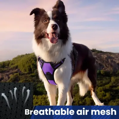 heavy duty dog harness (1) Heavy-Duty Nylon Material for Strength and Comfort: Crafted from durable nylon, the harness is designed to withstand daily use while remaining comfortable for pets, even on long walks.