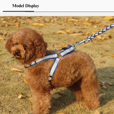 Reflective Braided Dog Leash with Harness