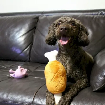 pet plush toys bulk pet plush toys bulk