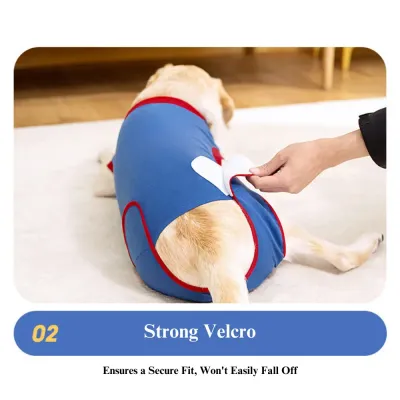 Breathable Dog Recovery Suit Breathable Dog Recovery Suit