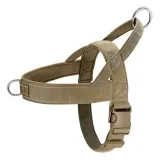 Ideal Long Elastic Dog Car Leash