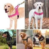 Best Elastic Reflective Dog Car Leash