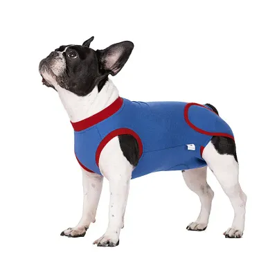 Blue Dog Recovery Suit