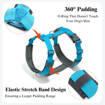 Adjustable Anti-Pull Dog Harness &amp; Leash Set for Walking