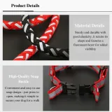 Reflective Braided Dog Leash with Harness