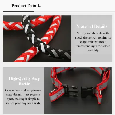 Reflective Braided Dog Leash with Harness