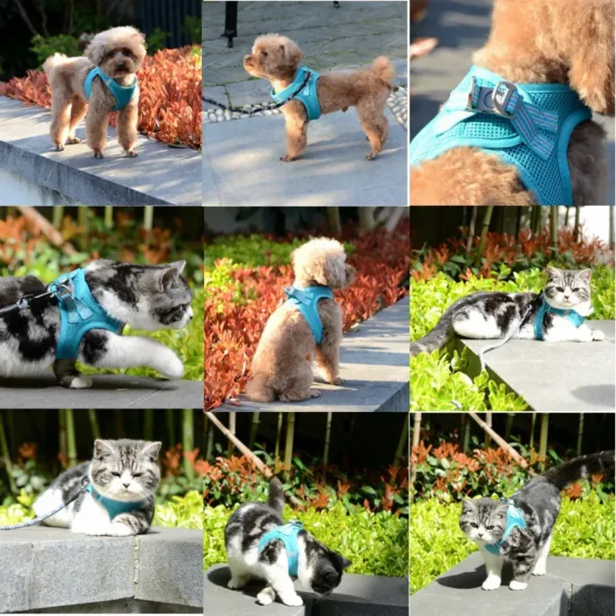 Universal Fit for All Pet Sizes: This versatile harness is suitable for small, medium, and large dogs and cats, providing a comfortable, secure fit for pets of all shapes and sizes.