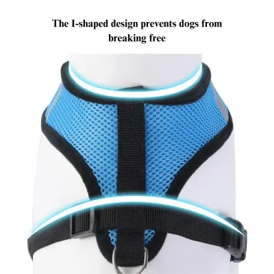 Durable Nylon Webbing for Strength: Constructed from heavy-duty nylon webbing, the leash is built to handle the toughest tugs and pulls, making it suitable for pets of all strengths.
