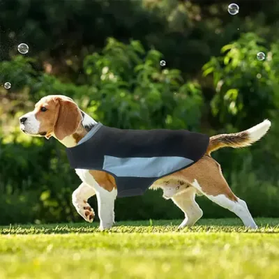 Calming Dog Clothes Calming Dog Clothes