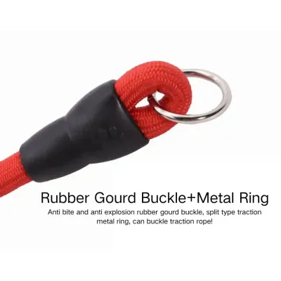Dog Slip Collar Manufacturer Dog Slip Collar Manufacturer