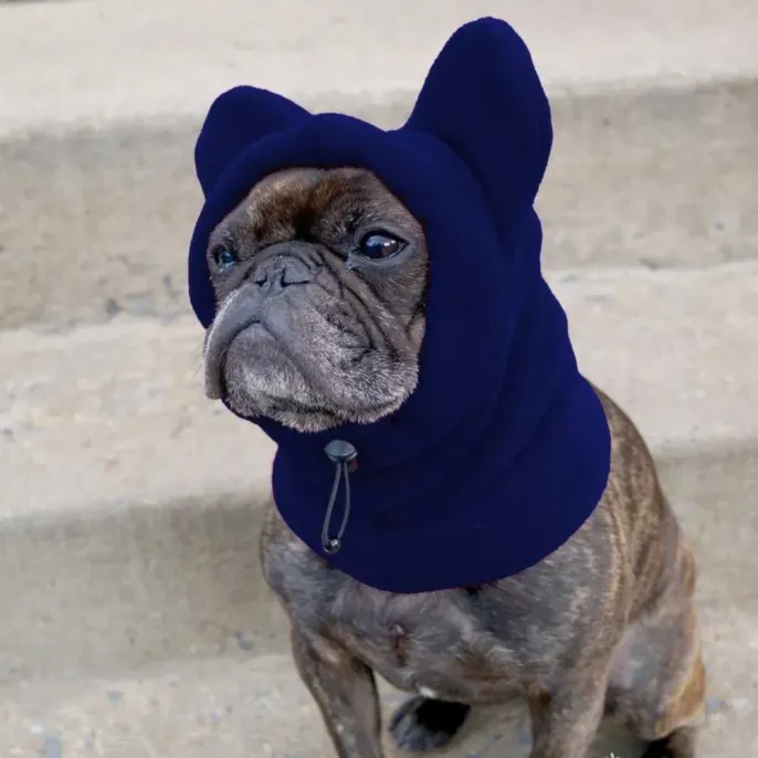 Wholesale Pet Hat