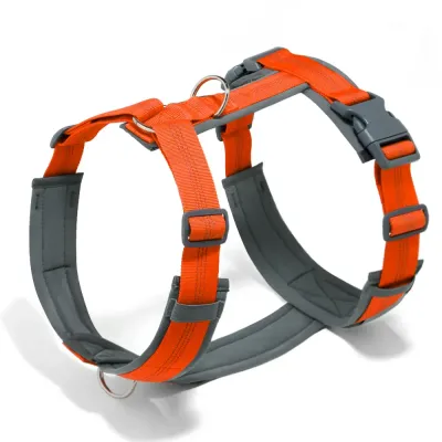 Adjustable dog harness Ergonomic Anti-Pull Harness and Leash Set for Walking