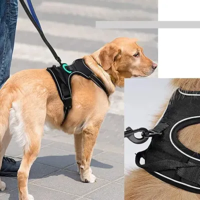 heavy duty harness for dogs (2) Easy On and Off with Quick Adjustable Straps: This harness features adjustable straps that make putting it on and taking it off quick and easy, saving time for busy pet owners.