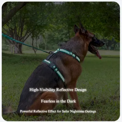 Breathable dog harness Heavy-Duty Anti-Pull Dog Harness and Leash Set