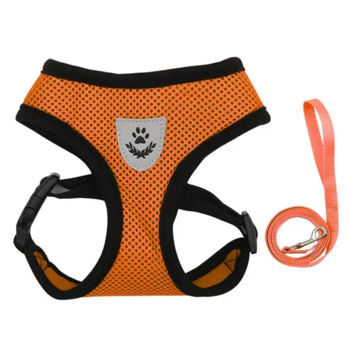 Strong Leash for Better Control: The sturdy leash ensures better control, making it perfect for strong pets or those that pull during walks, providing owners with a secure hold.