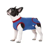 Blue Recovery Suit for Dogs Blue Recovery Suit for Dogs