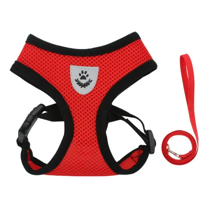 Multi-Color Leash for Style: Available in a variety of colors, the leash allows owners to select the one that best matches their pet's personality and their own preferences.
