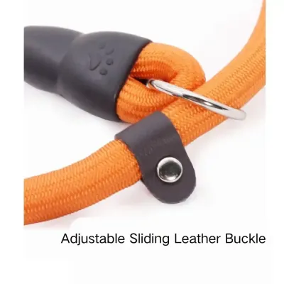 Dog Slip Collar For Sale Dog Slip Collar For Sale