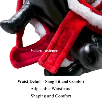 Creative pet costume Christmas Santa Costume for Big Dog Breeds
