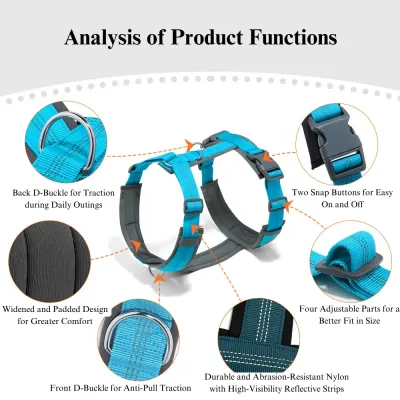 Easy-Fit Adjustable Dog Harness and Leash Affordable Breathable Dog Harness and Leash Set