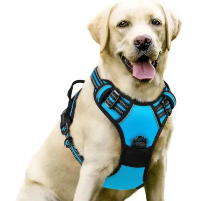 dog heavy duty harness (3) Durable Alloy D-Ring for Reliable Attachment: The heavy-duty alloy D-ring ensures secure attachment for leashes, tags, or bells, providing enhanced control and safety during walks.