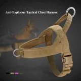 Shock-Absorbing Elastic Dog Car Leash