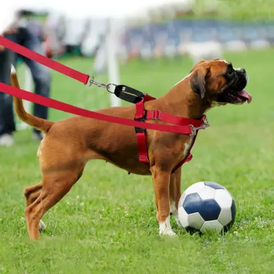 High-Quality Large Breed Dog Vest Harness