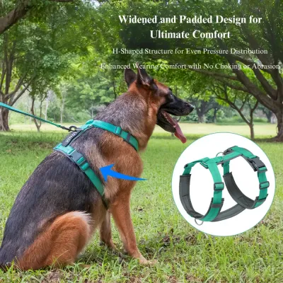 Top-Rated Nylon Dog Harness and Leash Set Best Adjustable Dog Harness and Leash Set for All Breeds