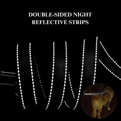 reflective dog leashes (2) Enhanced Nighttime Visibility: Equipped with dual reflective stripes, this leash increases visibility during nighttime walks, making it safer for both pets and owners.