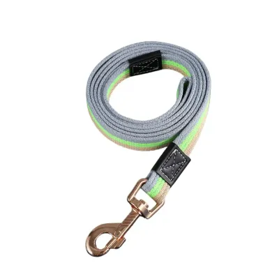 Perfect for Large and Active Pets: Designed with the needs of larger and more energetic dogs in mind, this leash is the ideal choice for walking, hiking, or training large pets.